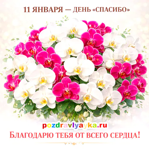 Международный день «спасибо»