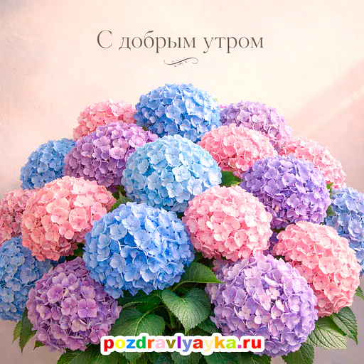 Открытка «Доброе утро» — цветы — № 18