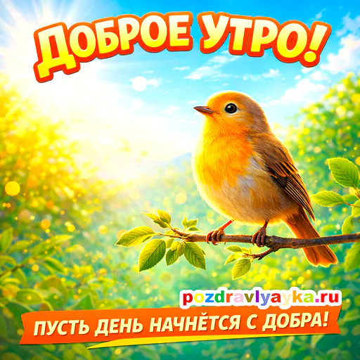 Доброе утро