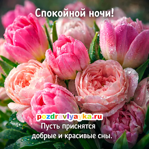 Открытка «Спокойной ночи» — цветы — № 17