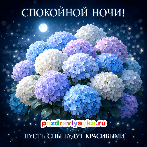 Спокойной ночи