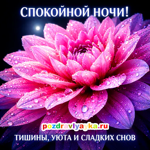 Спокойной ночи